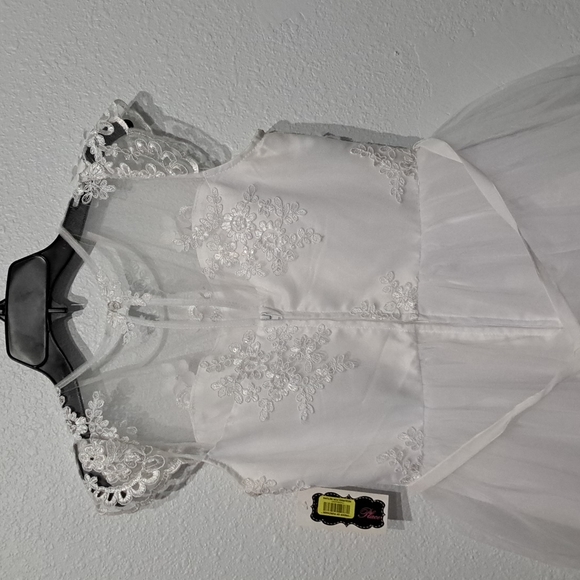 Chantilly Place Big Girls Cap Sleeve 3D Embroidery Mesh Long Communion Dress - Picture 6 of 7